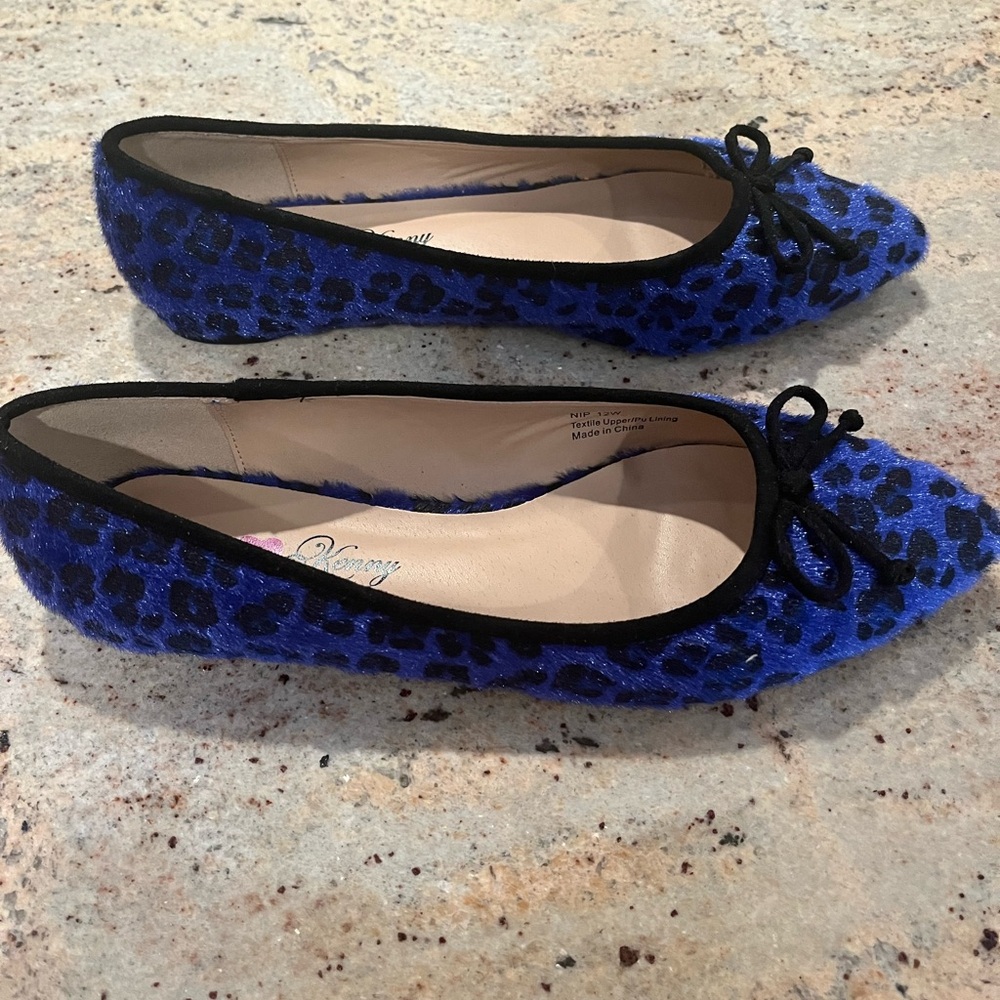 These are a lovely pair of pointed toe Penny loves Kenny flats.  purplish/ blue